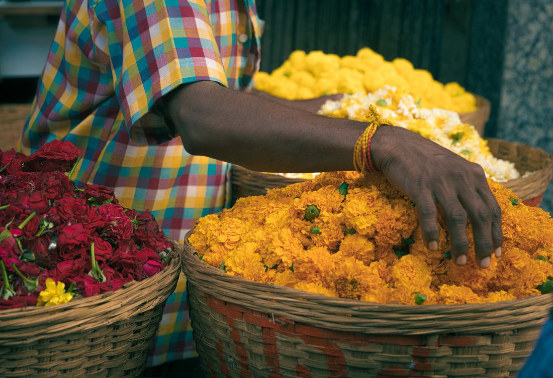 A hand buried in marigold garlands in a basket